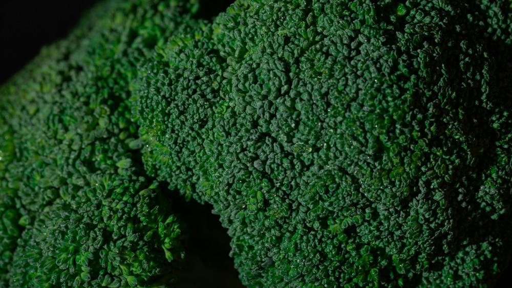 Iron food-862e0a7c97a14854a8458447d8b67283.jpg Iron food