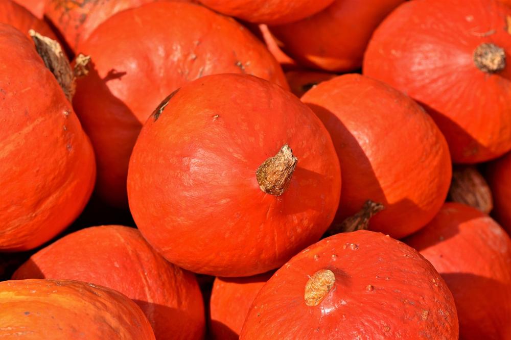 pumpkin nutrition